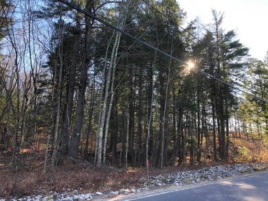 0 Milton Mills Rd Lot 1, Acton, ME 04001 - photo 2