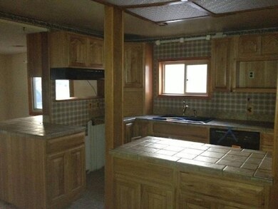 12872 Pickeral Ave, Bitely, MI 49309 - photo 3