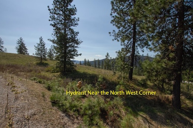 1622 Palmer Loop-3