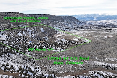 15086 45 1 2 Rd, Mesa, CO 81643 - photo 4