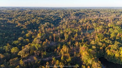 TBD Rodney Rd, Port Gibson, MS 39150 - photo 3