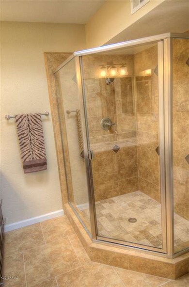 Gorgeous Master Shower!