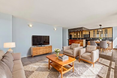 Park Place Tower unit 4101, Chicago, IL 60613 - photo 6