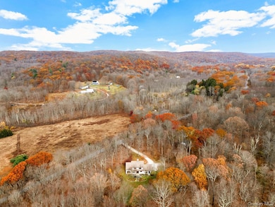 331 Grape Hollow Rd, Holmes, NY 12531 - photo 2