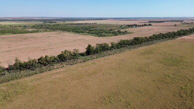 0 Tbd, Thalia, TX 79227 - photo 4