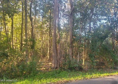 Front - Wooded Lot