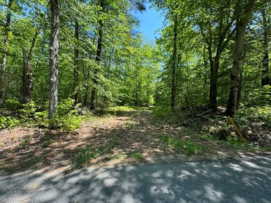 Lot 56.1 Locke Hill Rd, Wendell, MA 01379 - photo 2
