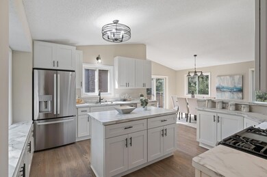 1303 109th Ave NW, Coon Rapids, MN 55433 - photo 4