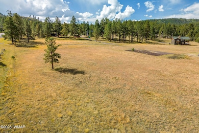 21 N1014, Greer, AZ 85927 - photo 6