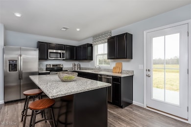 S/L 127 Ct, Ravenna, OH 44266 - photo 7