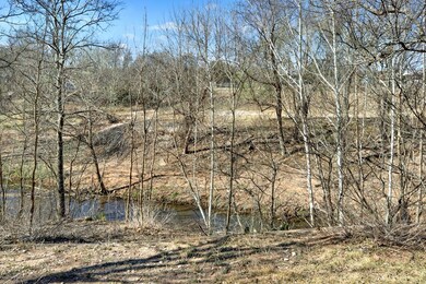 209 E Creek St, Fredericksburg, TX 78624 - photo 4