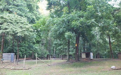 Additional View