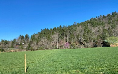 LOT 5 Woodpecker Resort, Blue Ridge, GA 30513 - photo 3