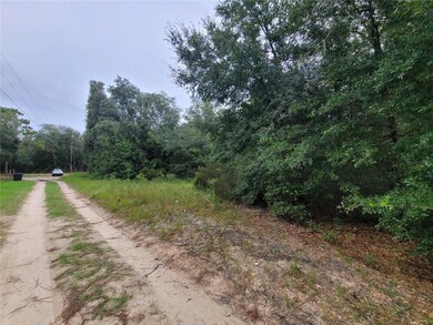 0 NE 120th St unit MFRO6323701, Bronson, FL 32621 - photo 3