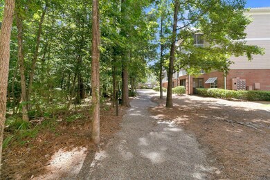 1301 Basildon Rd unit 1301, Mount Pleasant, SC 29466 - photo 6