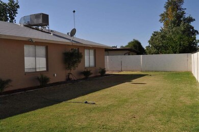 Backyard 1