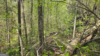 0 Heavenly Cir unit 19 10509010, Clayton, GA 30525 - photo 5