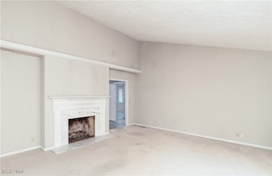 37 S Cedar St, Oberlin, OH 44074 - photo 4