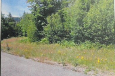 Lot 2 Hamilton Way, Plymouth, NH 03264 - photo 4