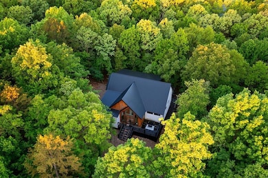 Aerial view with a forest view