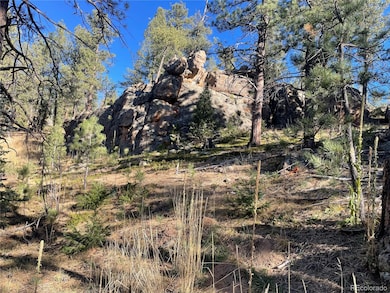 0 Shadow Mountain Dr, Conifer, CO 80433 - photo 5