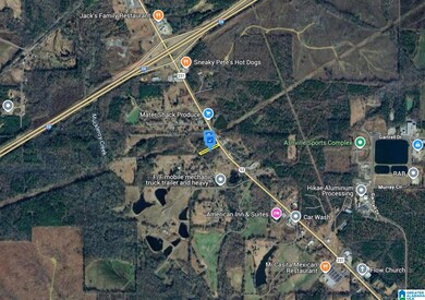36555 US Hwy 231, Ashville, AL 35953 - photo 4