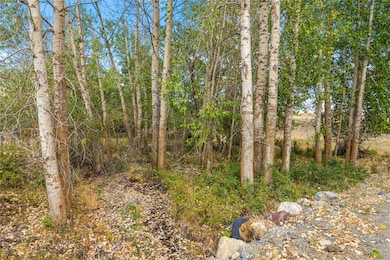 23234 Proctor School Rd, Proctor, MT 59929 - photo 3