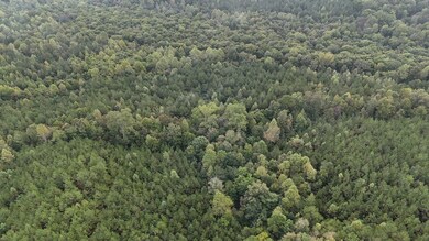 0 Scott Senter Rd, Fulton, MS 38843 - photo 6