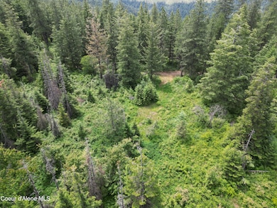 Possible Build Site
