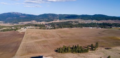 13111 E Gibbs Rd, Valleyford, WA 99023 - photo 5