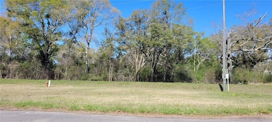 0 Newman Rd unit 7559706, Mobile, AL 36695 - photo 5