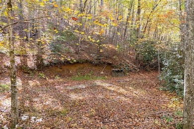 5389 Cascade Lake Rd, Cedar Mountain, NC 28718 - photo 7