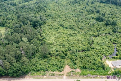 23060 Carson Rd, Pride, LA 70770 - photo 2