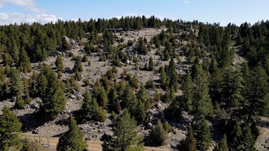 TBD Grace Rd, Butte, MT 59701 - photo 3