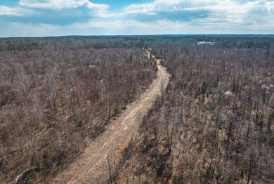 DJI_20240321150149_0194_D