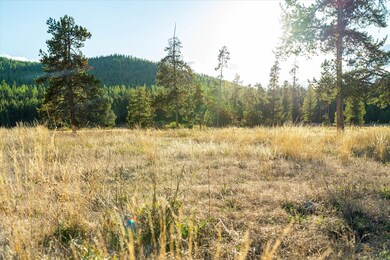 200 Hubbart Dam Rd, Marion, MT 59925 - photo 5