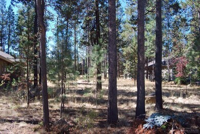 57777 Ribes Ln, Sunriver, OR 97707 - photo 3