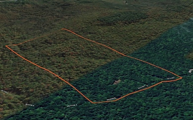 2462 S Niciu Rd, Redfield, NY 13437 - photo 4