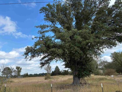 2443 Fm 1653, Ben Wheeler, TX 75754 - photo 2