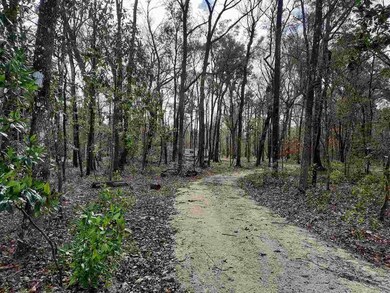 00 288th Terrace, Branford, FL 32008 - photo 2