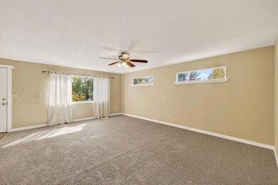 2025_09_05_2739_ne_cordata_Dr-4