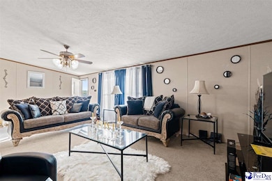 1115 Cartrell Brown Dr, Marion, SC 29571 - photo 3