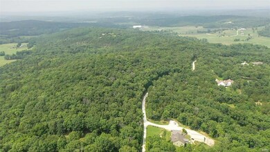 0 Calvey Crossing Ln unit MAR24019888, Calvey Township, MO 63072 - photo 6