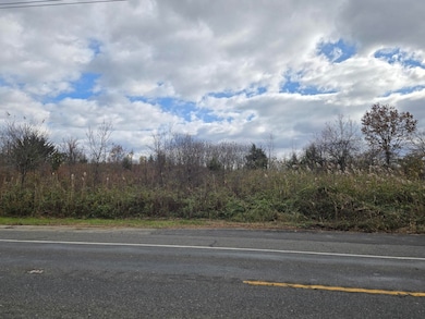 W Broad St, Greenwich Township, NJ 08027 - photo 4