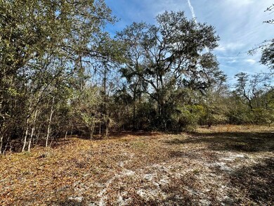 Vacant 1 62 Rd, Lamont, FL 32336 - photo 6
