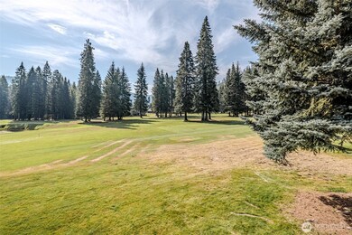 20795 Kahler Dr unit E8, Leavenworth, WA 98826 - photo 2