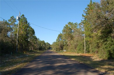 8815 N Tempest Dr, Citrus Springs, FL 34433 - photo 6