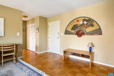 511 1st St N unit 509, Charlottesville, VA 22902 - photo 4