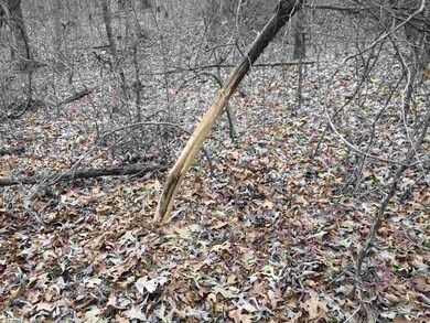 0 Cr 780 unit 20000398, Jonesboro, AR 72401 - photo 4