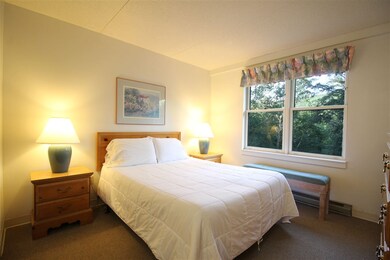 28 Packards Rd unit 406, Waterville Valley, NH 03215 - photo 6